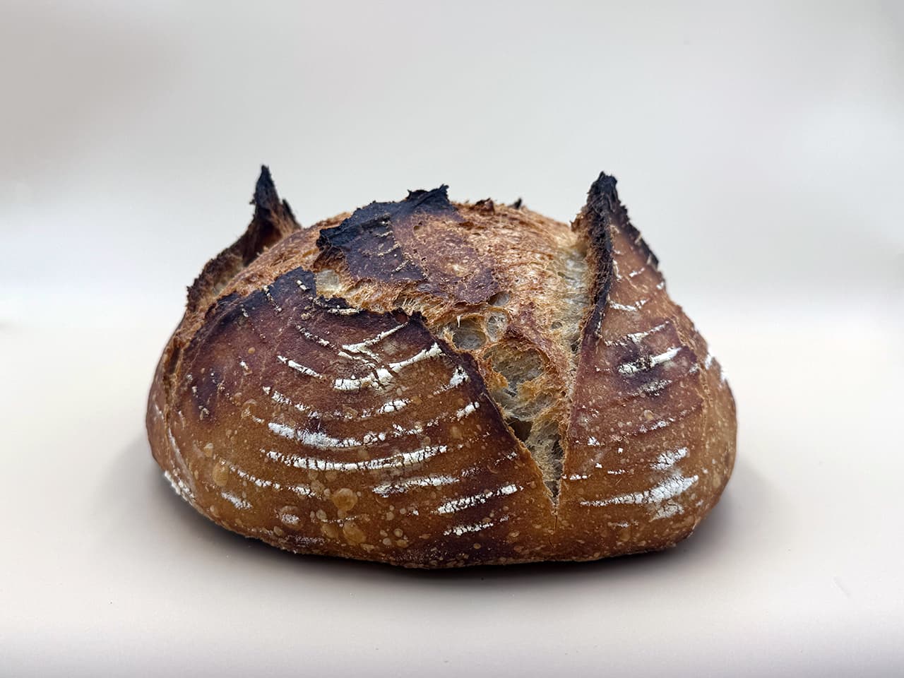 A rustic sourdough loaf